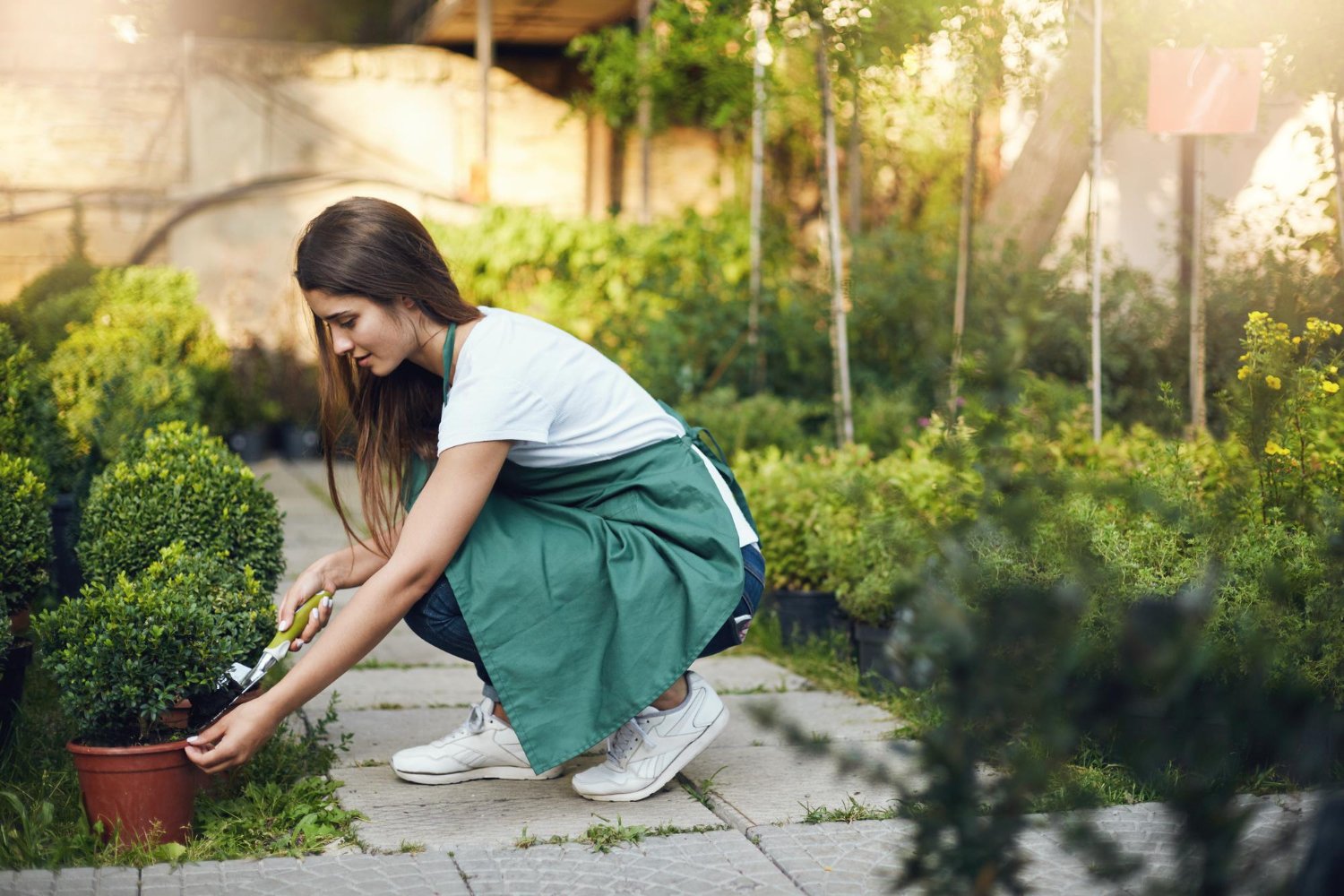Communal Area Gardening